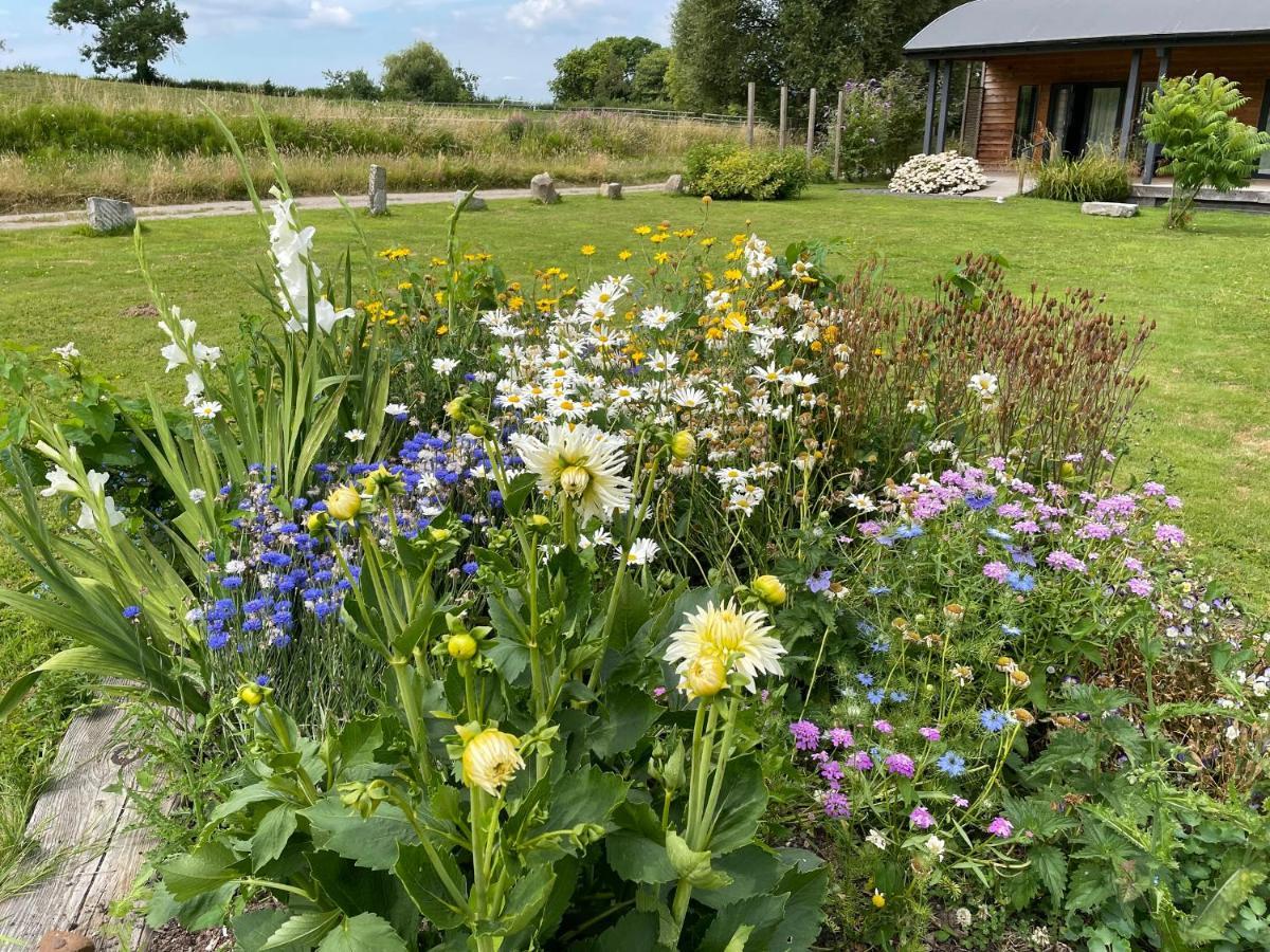 Foxglove Glastonbury Exteriör bild